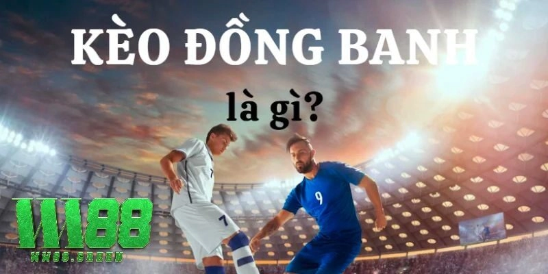 Hướng Dẫn Cược Kèo Đồng Banh Hiệu Quả Đỉnh Cao Năm 2025